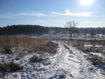 Wandeling Meinweg