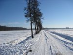 Wandeling Meinweg (3)