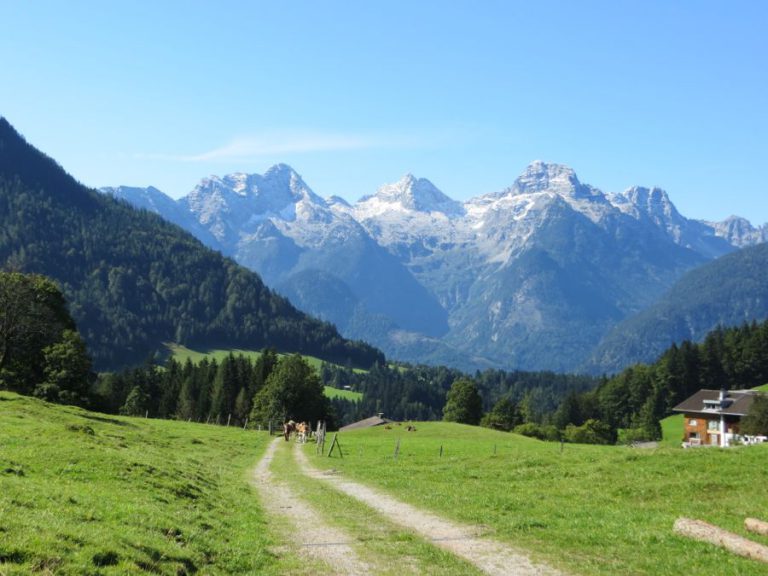 Het mooie landschap tijdens de tocht
