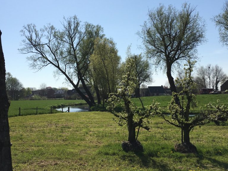 Fietsen in de Betuwe