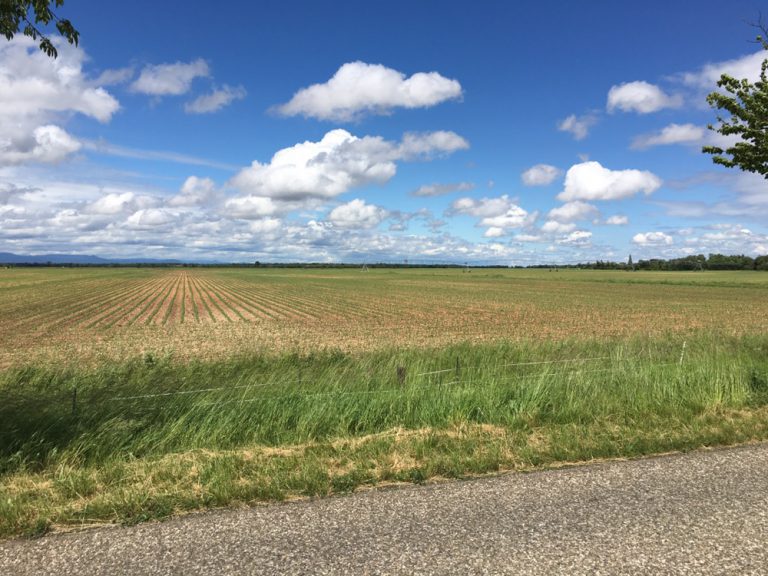 Dag 15: Au revoir Alsace, Grötzi Schweiz