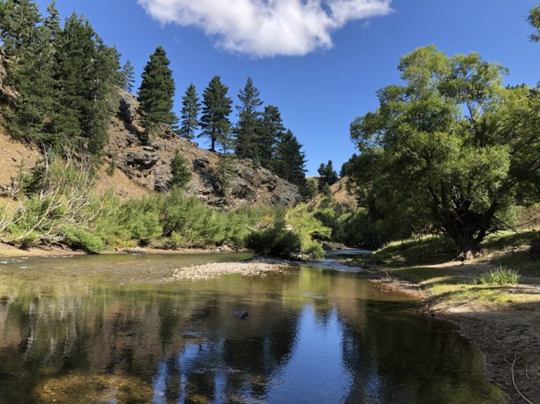 Otago Central Rail Trail – dag 4