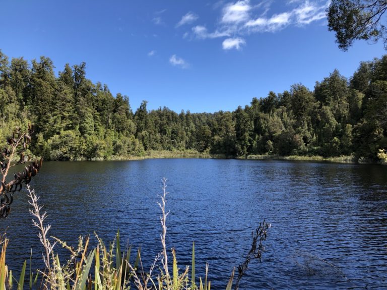 Lake Matheson & Fox Glacier