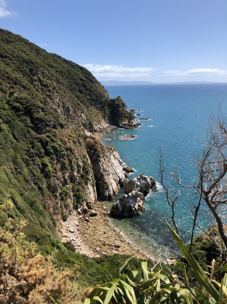 Abel Tasman Coastal Track Noord