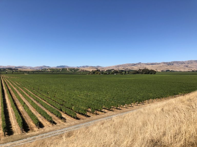 Marlborough Wine Country