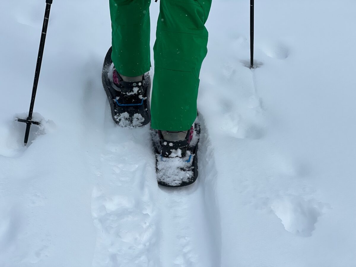 Sneeuwschoenen