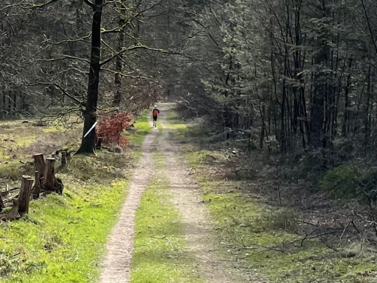 Hardlopen 2024 – deel 1