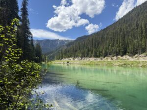 Kootenay N.P.
